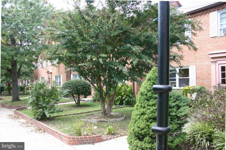 2805 16th Road South, Unit A Arlington, VA 22204 - Photo 18 of 28 Exterior (General)