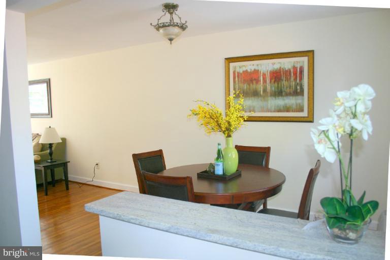 2805 16th Road South, Unit A Arlington, VA 22204 - Photo 27 of 28 Viewed from Kitchen