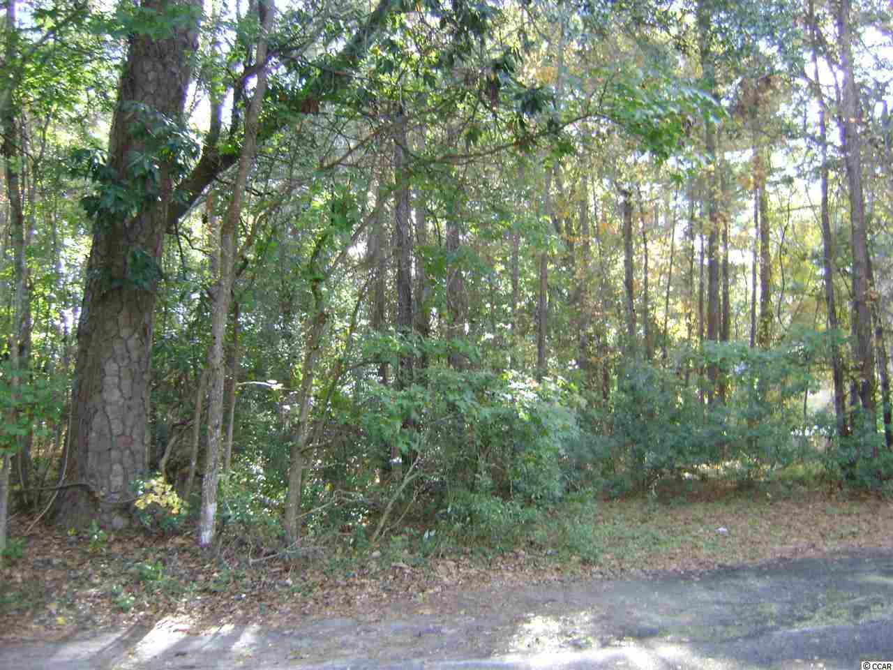 90 Brandon Way Georgetown, SC 29440 - Photo 1 of 22 Gallery Image 1