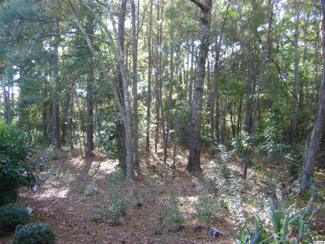 90 Brandon Way Georgetown, SC 29440 - Photo 2 of 22 Gallery Image 2