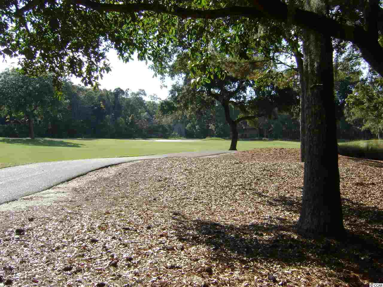 90 Brandon Way Georgetown, SC 29440 - Photo 3 of 22 Gallery Image 3