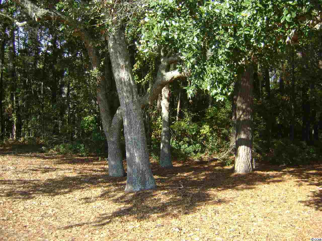 90 Brandon Way Georgetown, SC 29440 - Photo 6 of 22 Gallery Image 6
