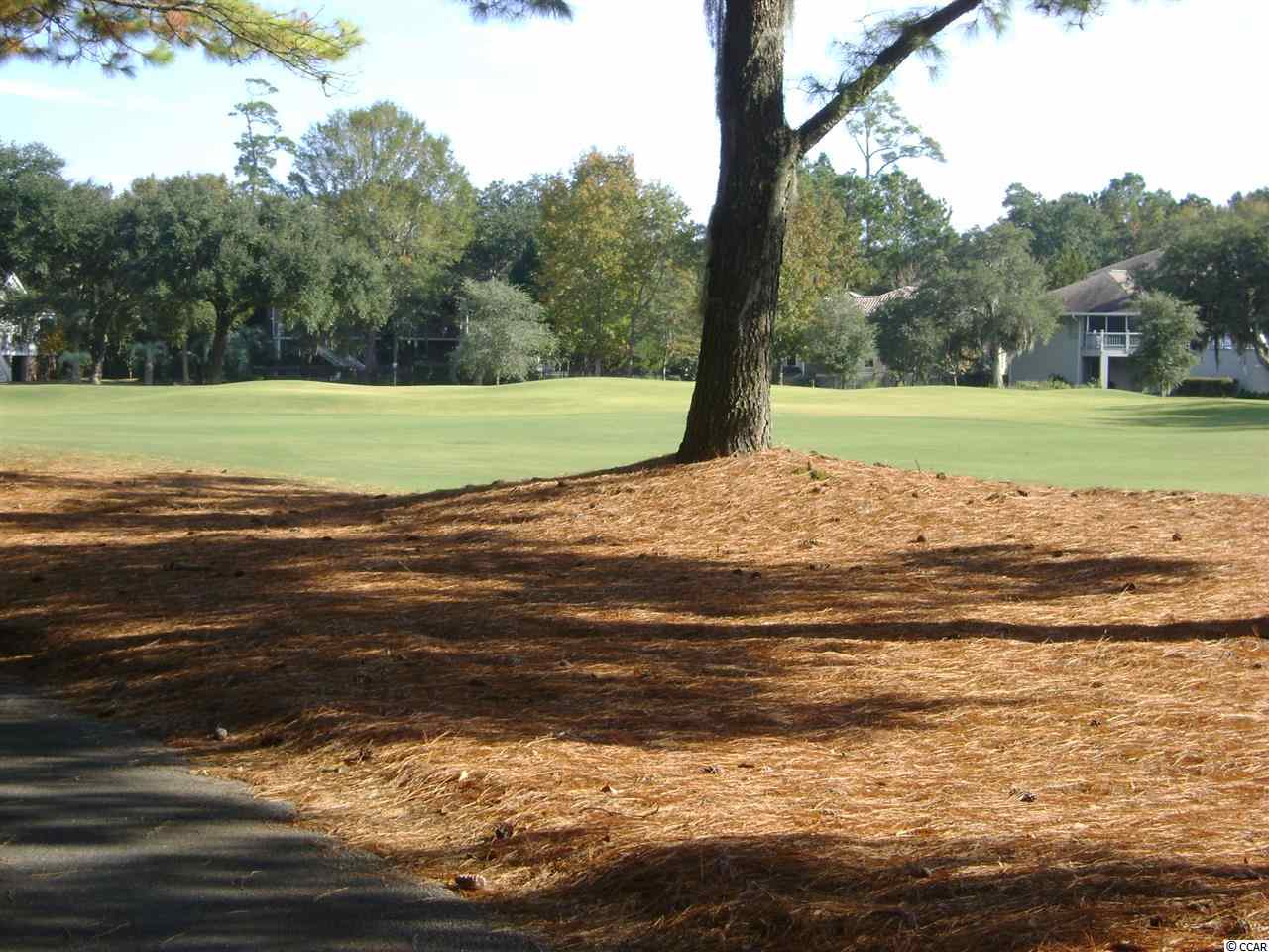 90 Brandon Way Georgetown, SC 29440 - Photo 7 of 22 Gallery Image 7
