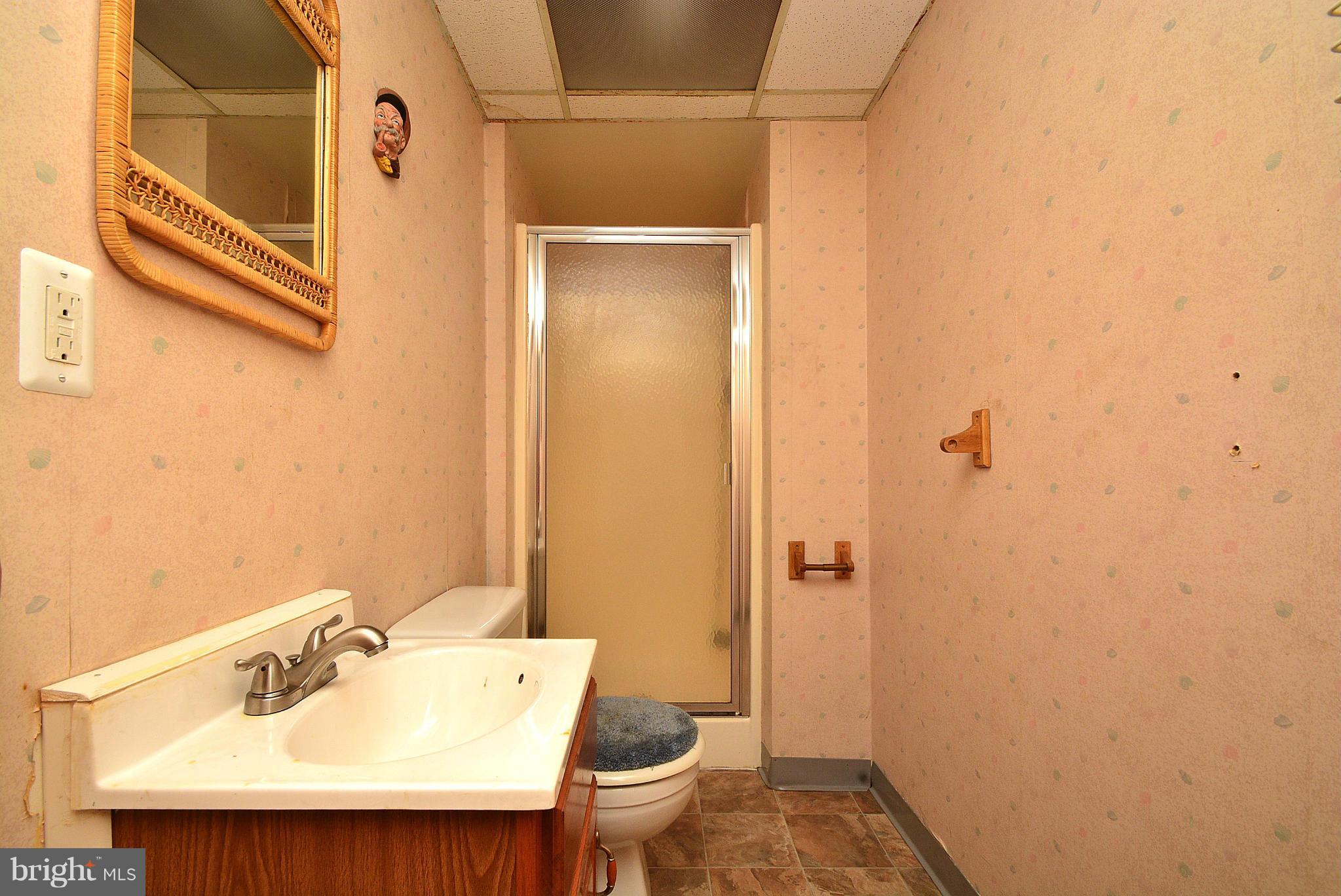 7041 Dunhill Road Baltimore, MD 21222 - Photo 27 of 30 Basement Bath