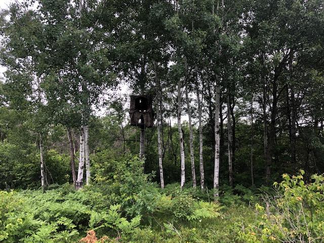 35-ac Wolf Lake Road Rhinelander, WI 54501 - Photo 26 of 32 Gallery Image 26