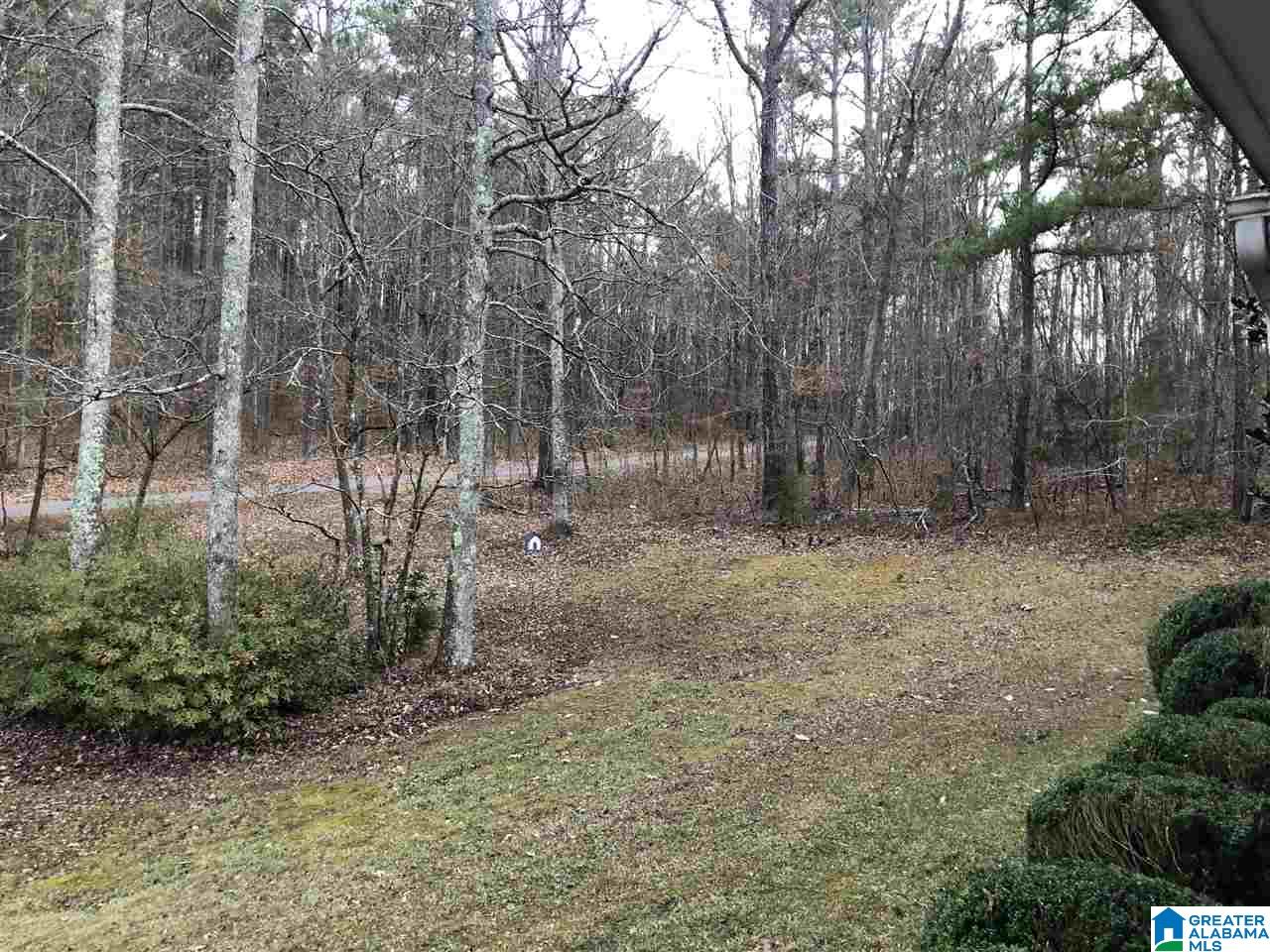8008 Cedar Mountain Road Pinson, AL 35126 - Photo 14 of 48