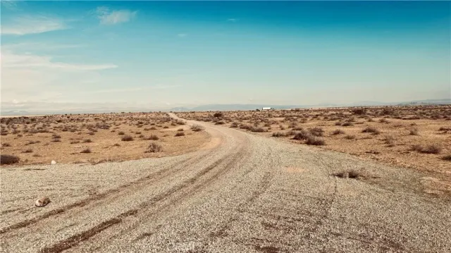a view of a dry yard
