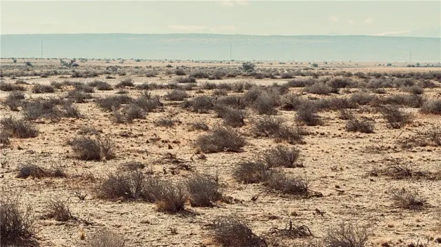 a view of a street with cars