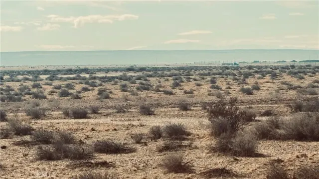 a view of a dry yard covered with snow