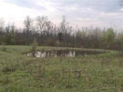 2100 East Major Road Pentwater, MI 49449 - Photo 2 of 4 Additional Photo