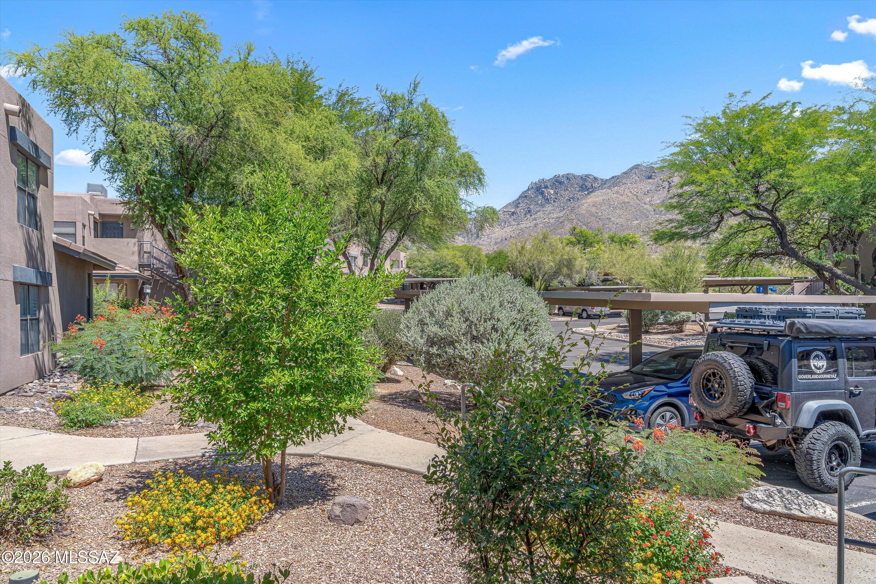 5855 North Kolb Road, Unit 8106 Tucson, AZ 85750 - Photo 23 of 34