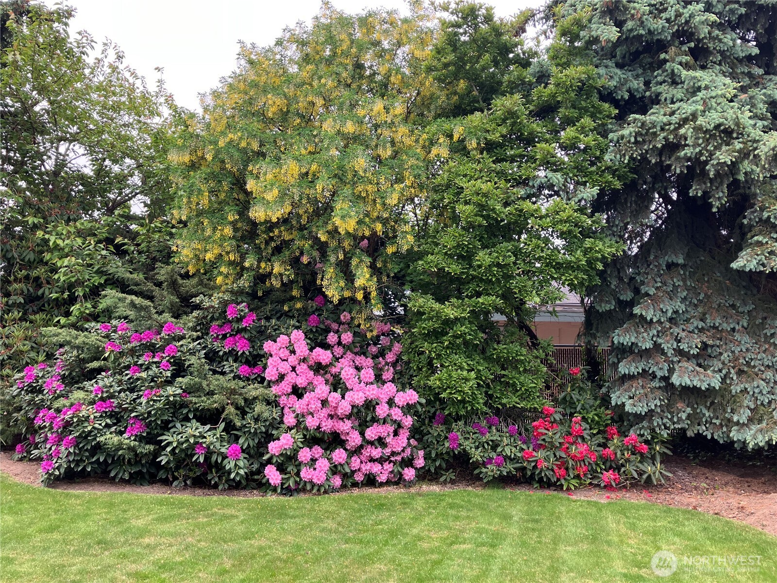 720 7th Street Southwest Puyallup, WA 98371 - Photo 37 of 40 a view of a flower in a garden