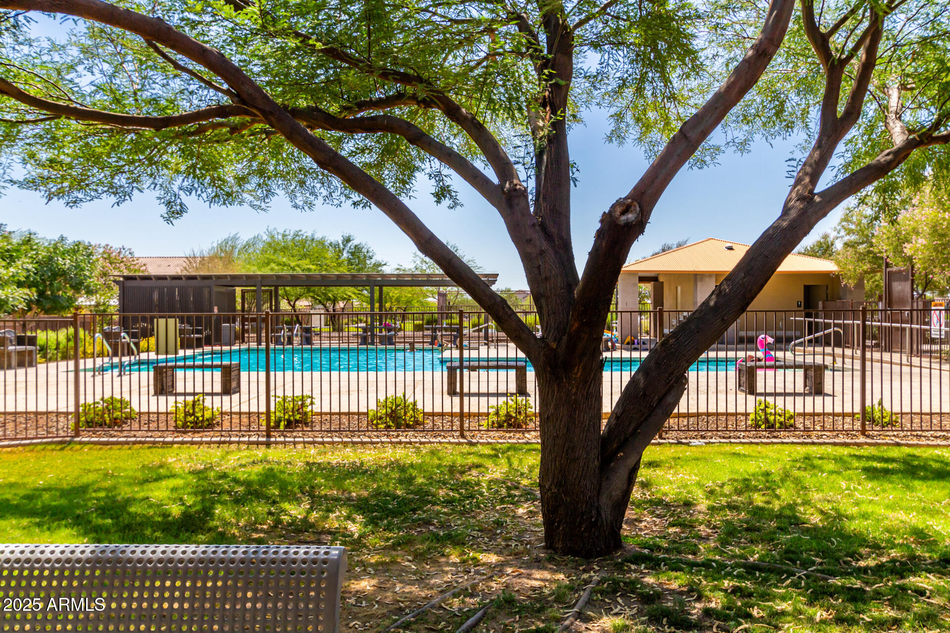 17320 West Daley Lane Surprise, AZ 85387 - Photo 31 of 46 a view of outdoor space with a large tree