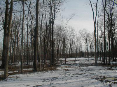 7022 Maples Road Fort Wayne, IN 46816 - Photo 9 of 9