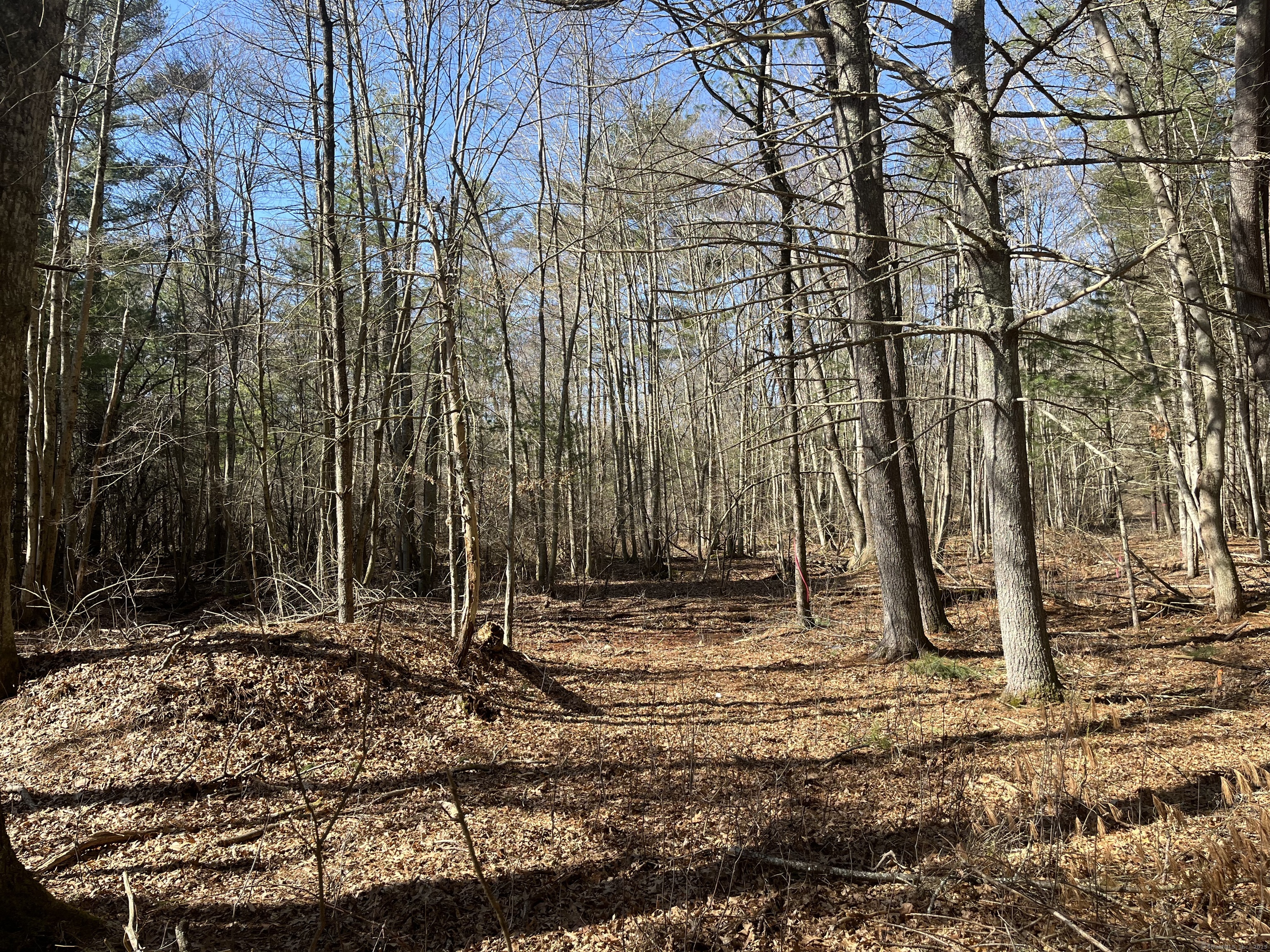 Providence Road Brooklyn, CT 06234 - Photo 22 of 35