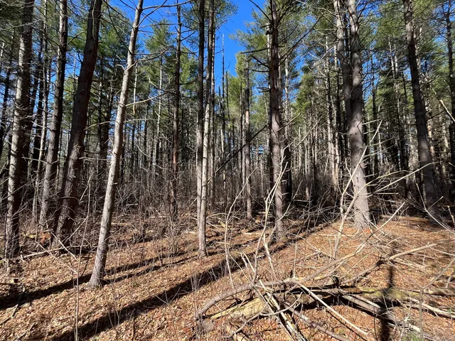 $5,400,000 | Providence Road, Brooklyn, CT 06234