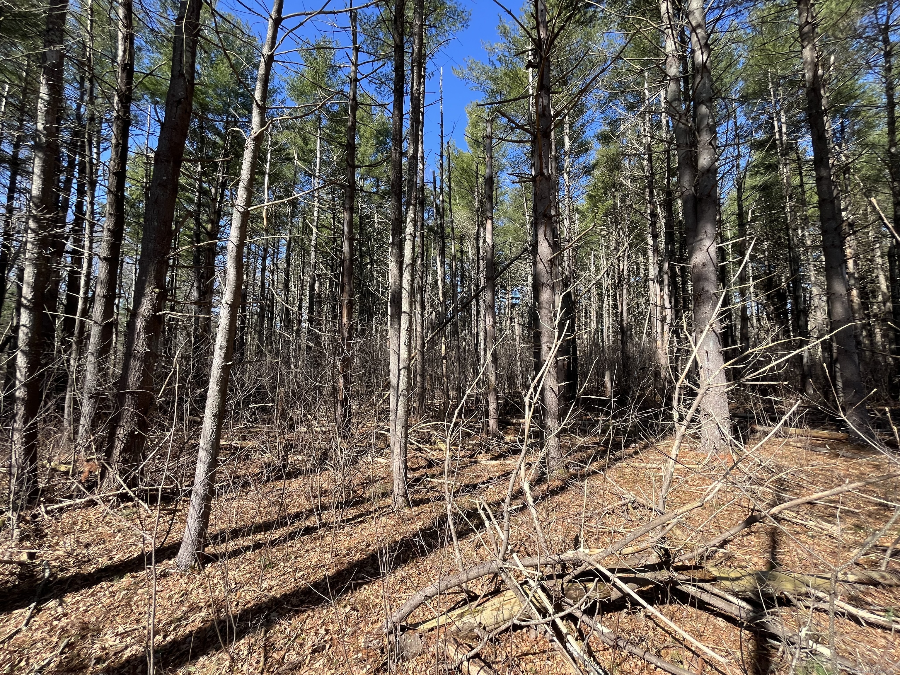 Providence Road Brooklyn, CT 06234 - Photo 23 of 35