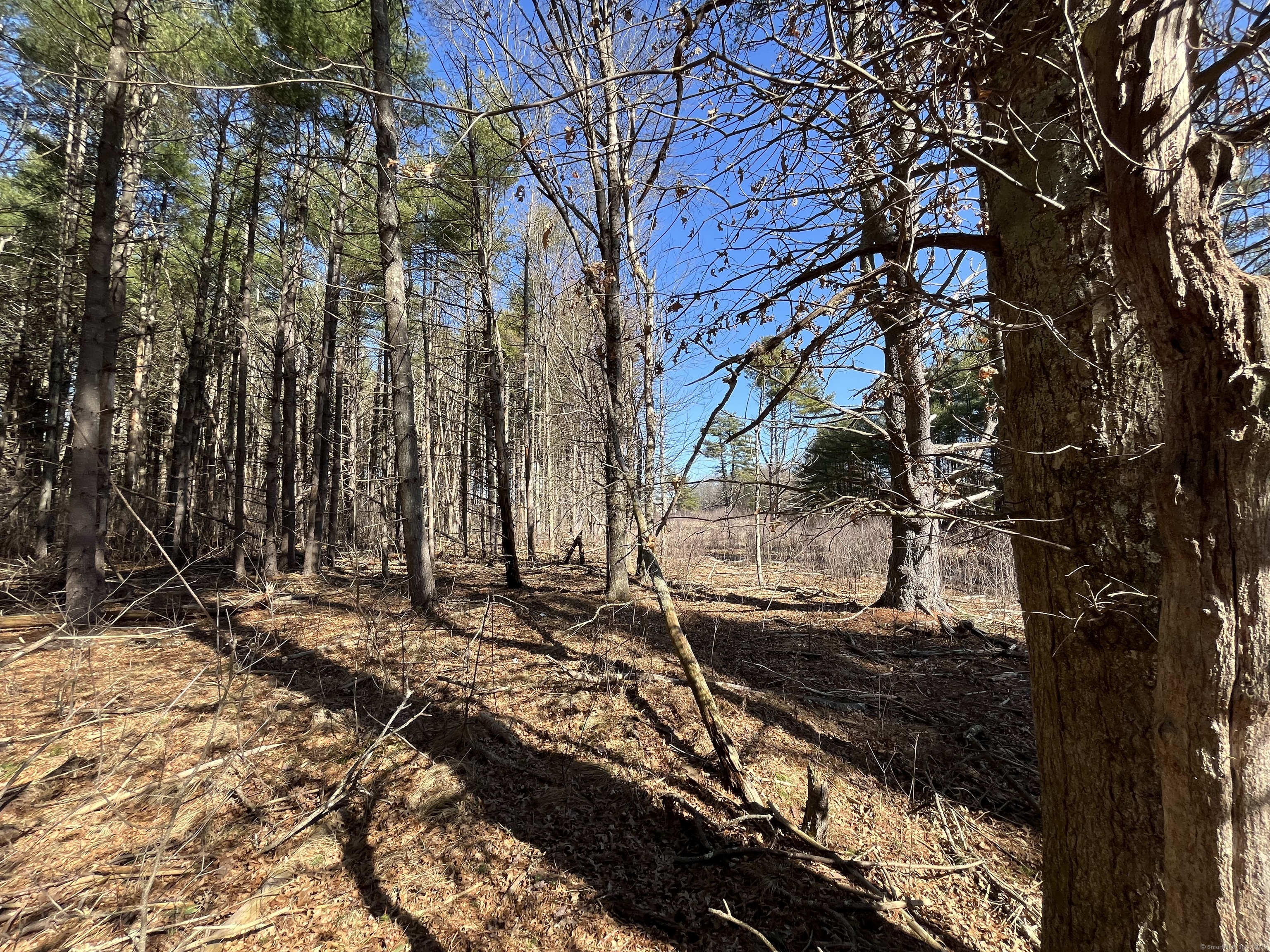 Providence Road Brooklyn, CT 06234 - Photo 24 of 35