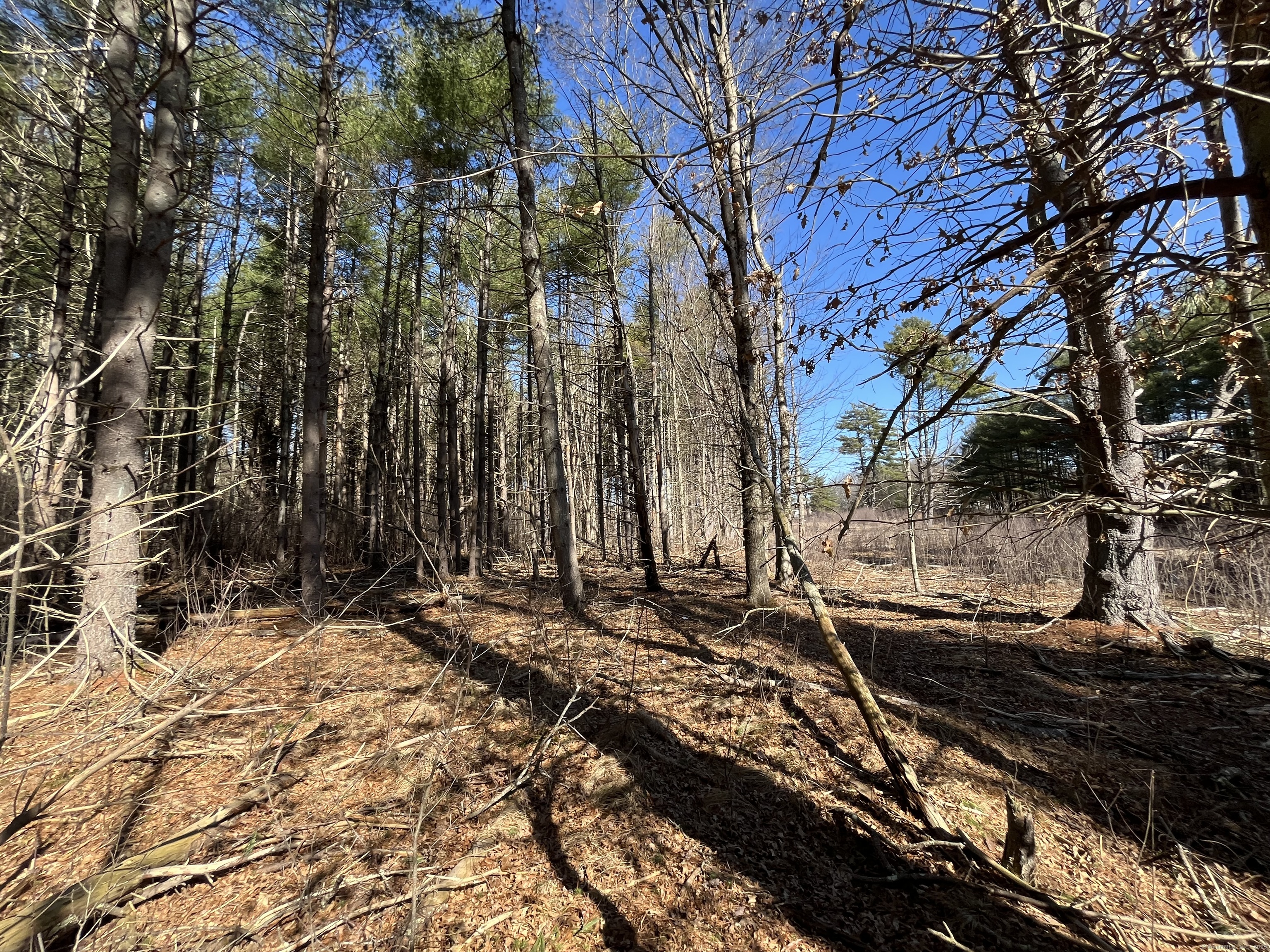 Providence Road Brooklyn, CT 06234 - Photo 25 of 35