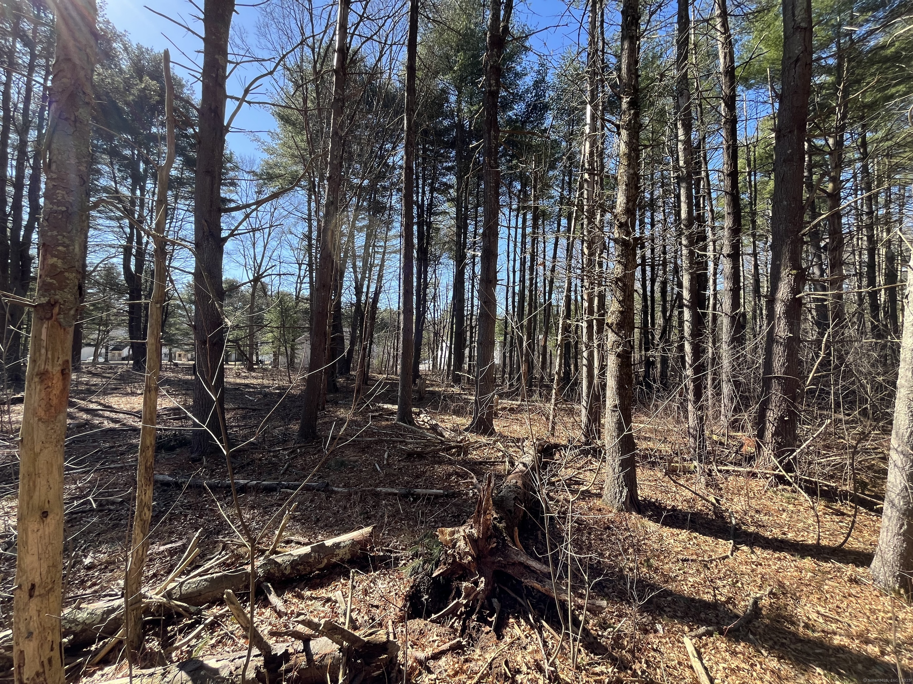 Providence Road Brooklyn, CT 06234 - Photo 26 of 35