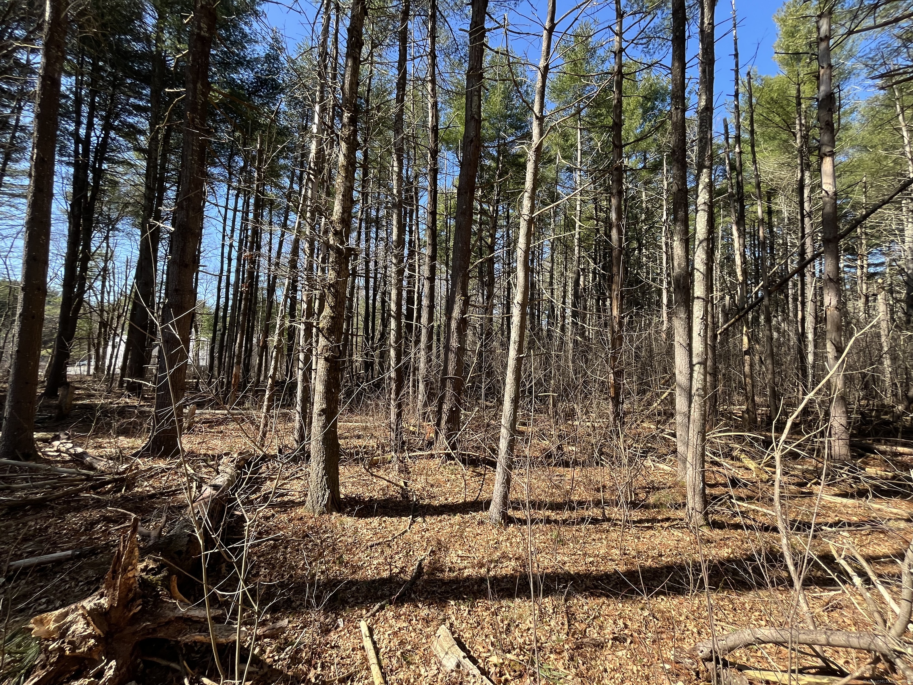 Providence Road Brooklyn, CT 06234 - Photo 27 of 35