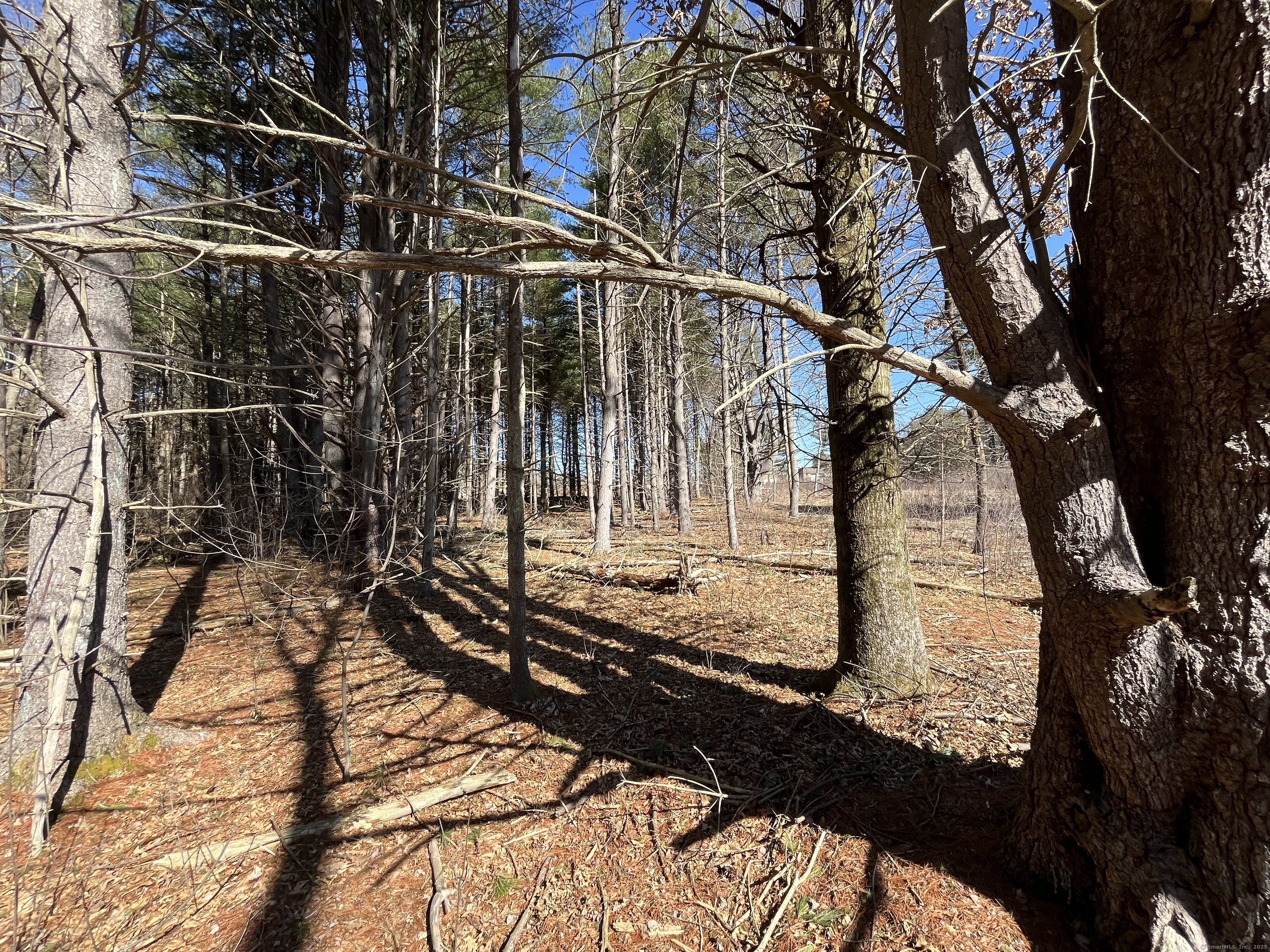 Providence Road Brooklyn, CT 06234 - Photo 28 of 35