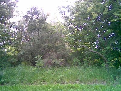 2244 Riverside Road Benton Harbor, MI 49022 - Photo 1 of 1 Primary Photo