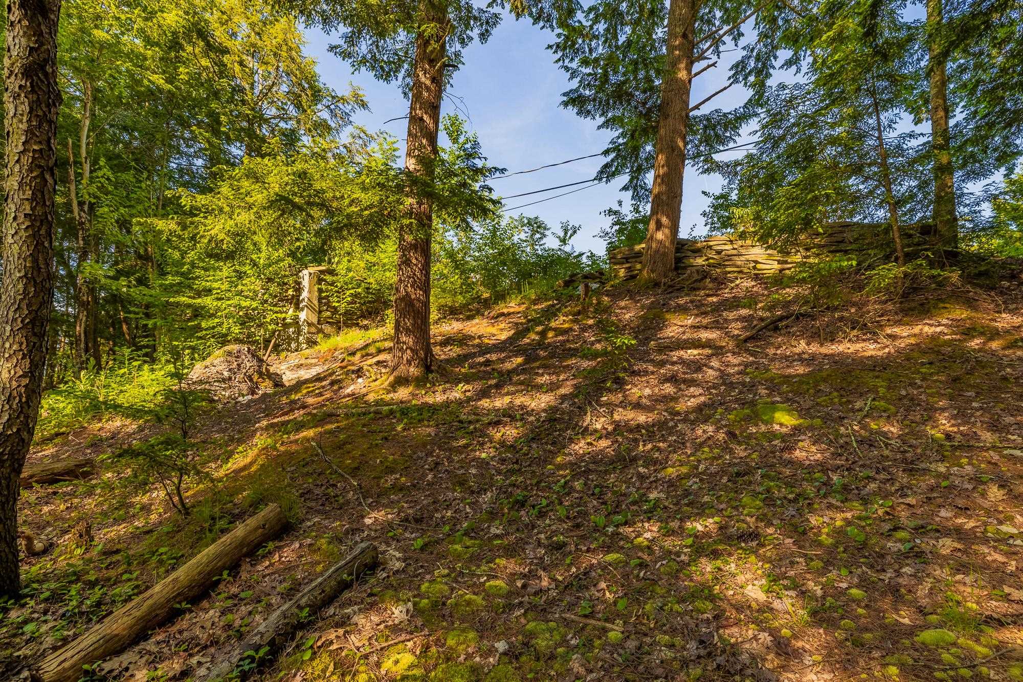 123 Peninsula Drive Poultney, VT 05774 - Photo 11 of 22