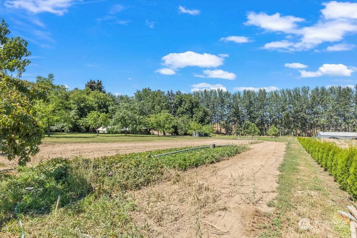 1350 Tozer Road Ellensburg, WA 98926 - Photo 29 of 40 a view of a lake with a yard