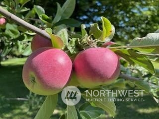 1350 Tozer Road Ellensburg, WA 98926 - Photo 34 of 40 a view of a swimming pool