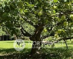1350 Tozer Road Ellensburg, WA 98926 - Photo 37 of 40 a view of a garden with plants