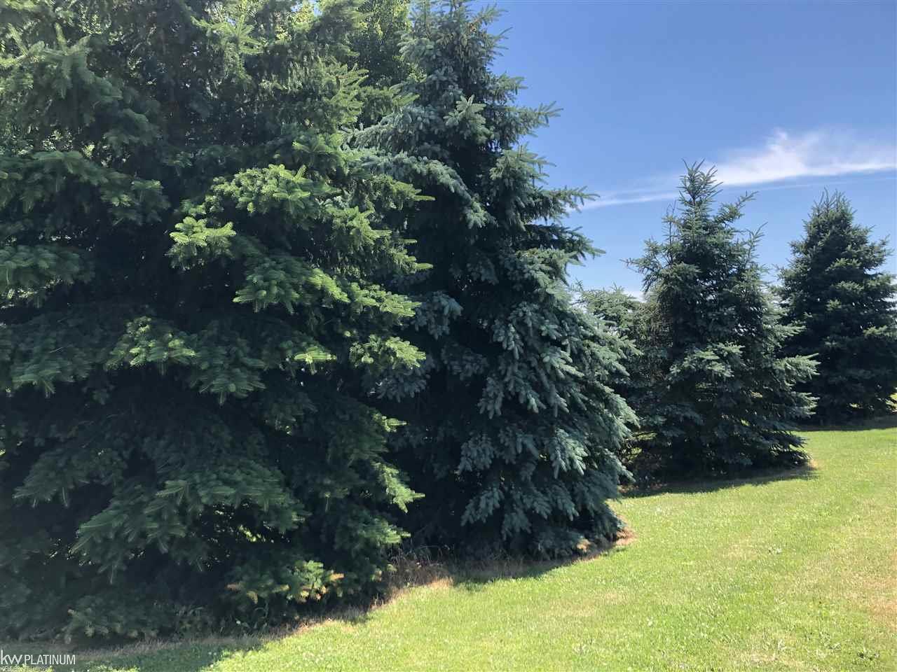 12546 Collins Road Yale, MI 48097 - Photo 66 of 71