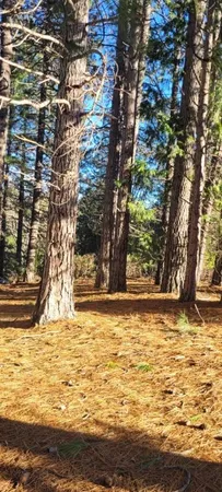 $99,000 | 0 Holiday Rd Mount, Mount Shasta, CA 96067