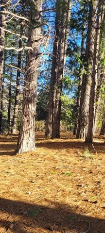 $99,000 | 0 Holiday Rd Mount, Mount Shasta, CA 96067