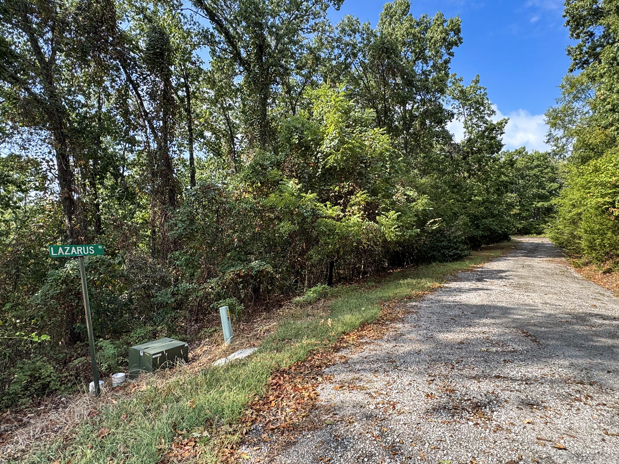 88 Lazarus Road Reeds Spring, MO 65737 - Photo 9 of 16 Lovely Sloped Lot