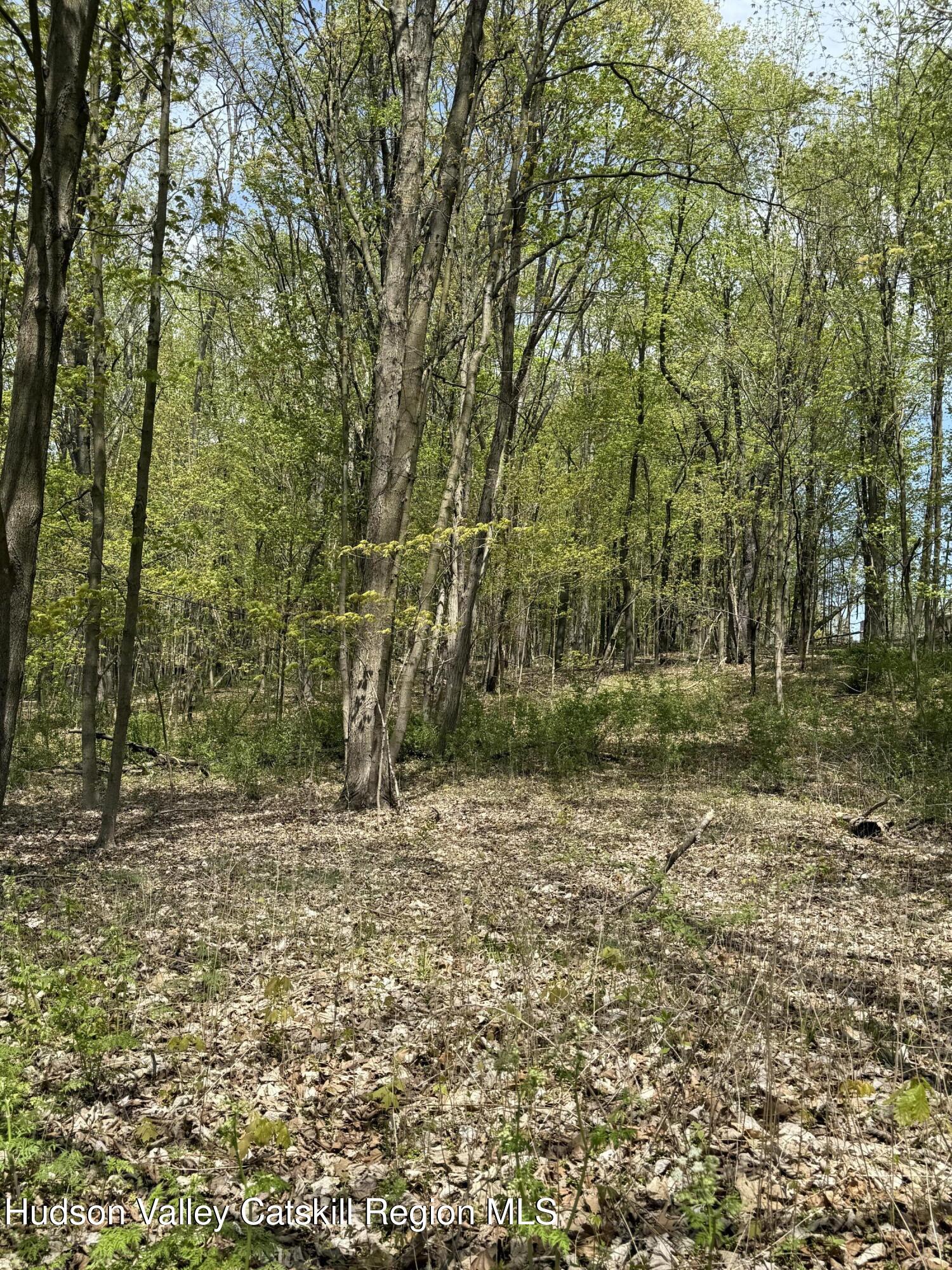 120 Floyd Ackert Road West Park, NY 12493 - Photo 4 of 6 IMG_2624