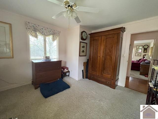 133 Blue River Road Cadiz, KY 42211 - Photo 19 of 42 Photo 19