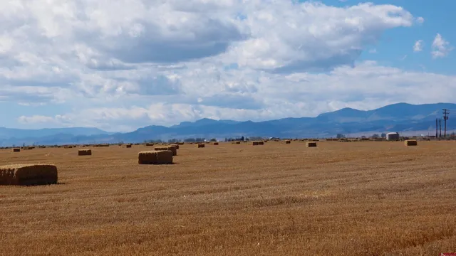 $1,650,000 | 57500-57622 County Road, Moffat, CO 81143