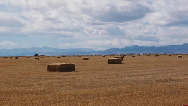 $1,650,000 | 57500-57622 County Road, Moffat, CO 81143