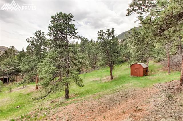 8910 Ute Road Cascade, CO 80809 - Photo 33 of 36