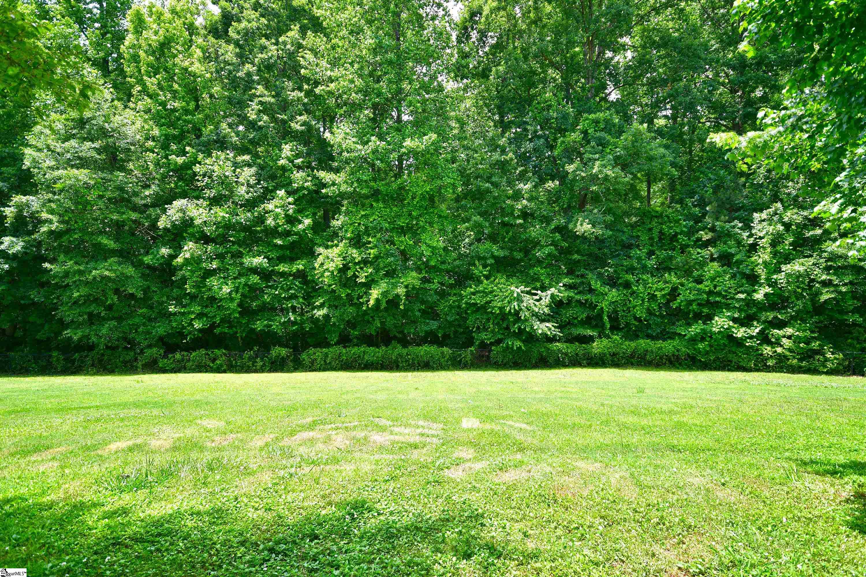 9 Spring Sky Court Taylors, SC 29687 - Photo 27 of 29