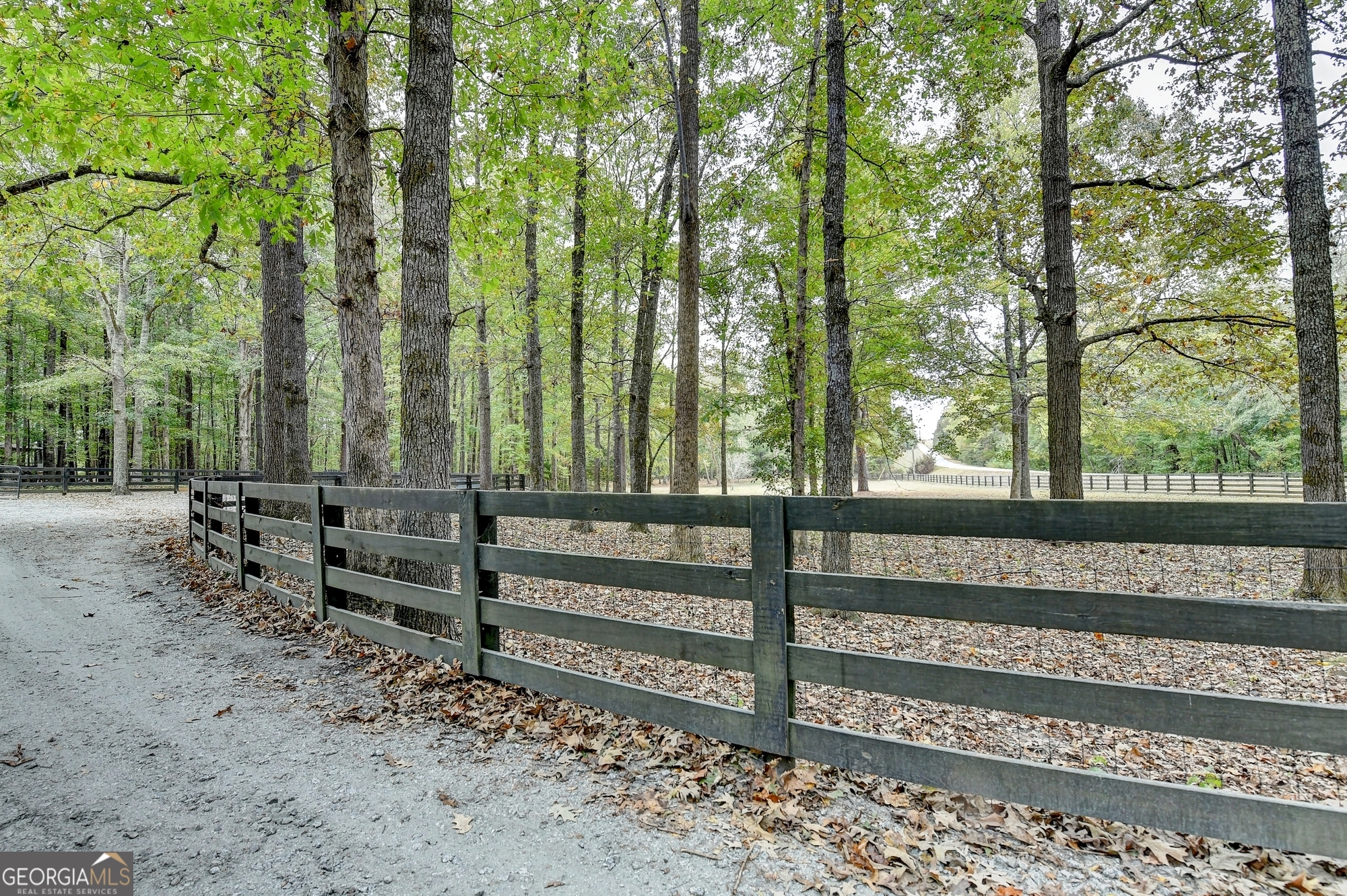 1174 Bear Creek Road Moreland, GA 30259 - Photo 14 of 59