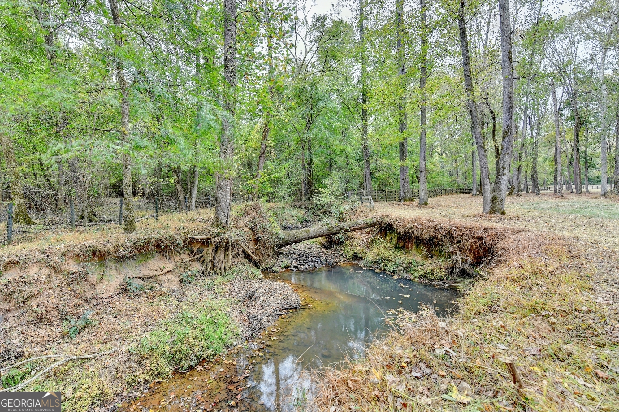 1174 Bear Creek Road Moreland, GA 30259 - Photo 21 of 59