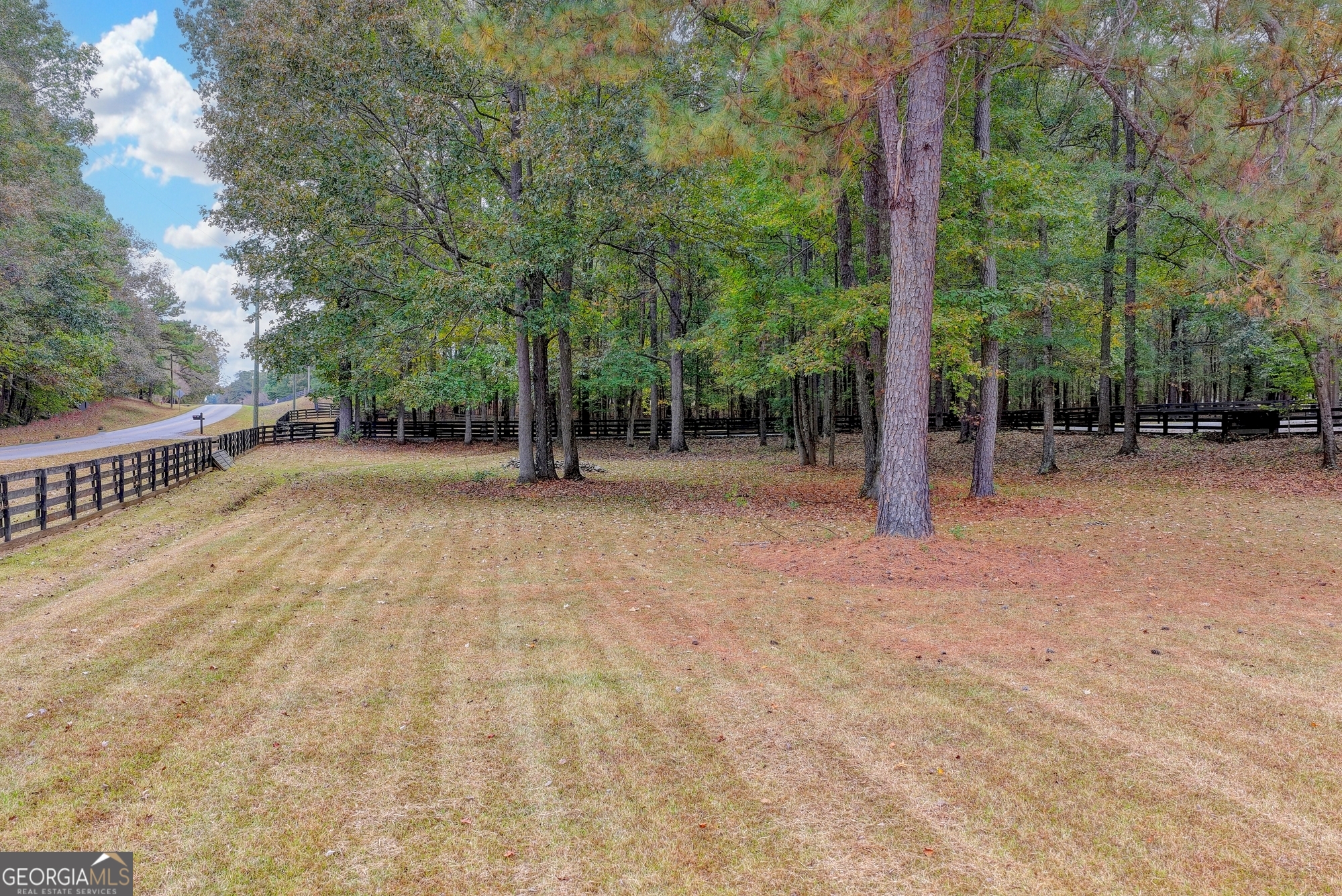 1174 Bear Creek Road Moreland, GA 30259 - Photo 6 of 59