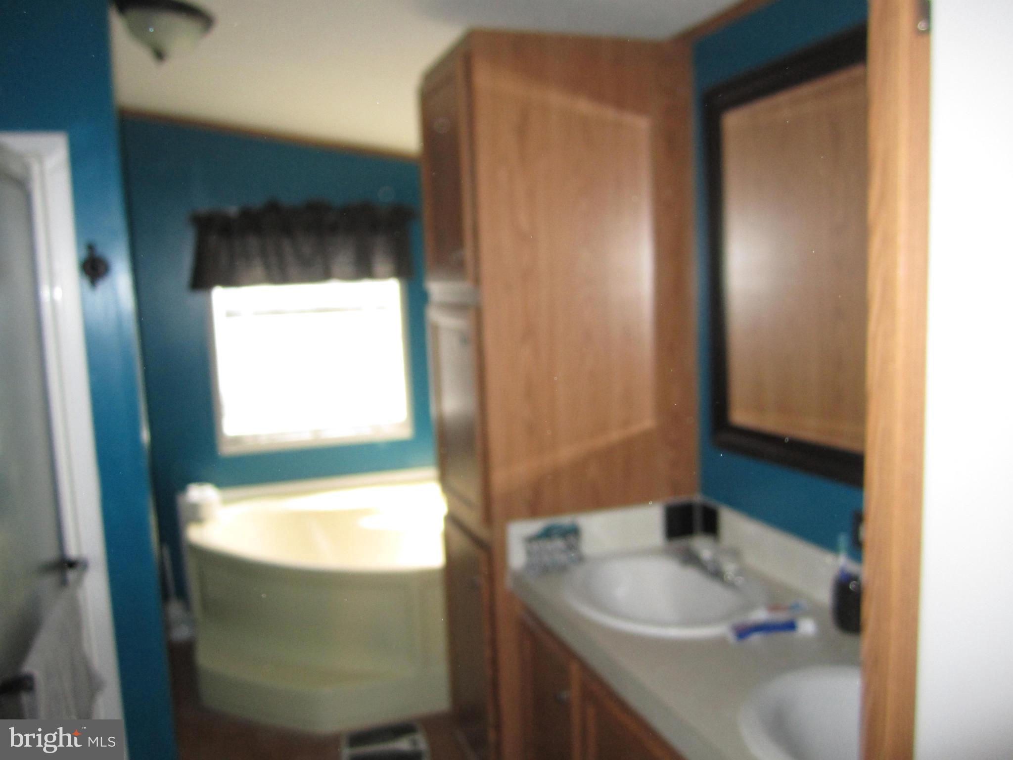 2907 Goldmiller Road Bunker Hill, WV 25413 - Photo 12 of 28 Bath (Master)