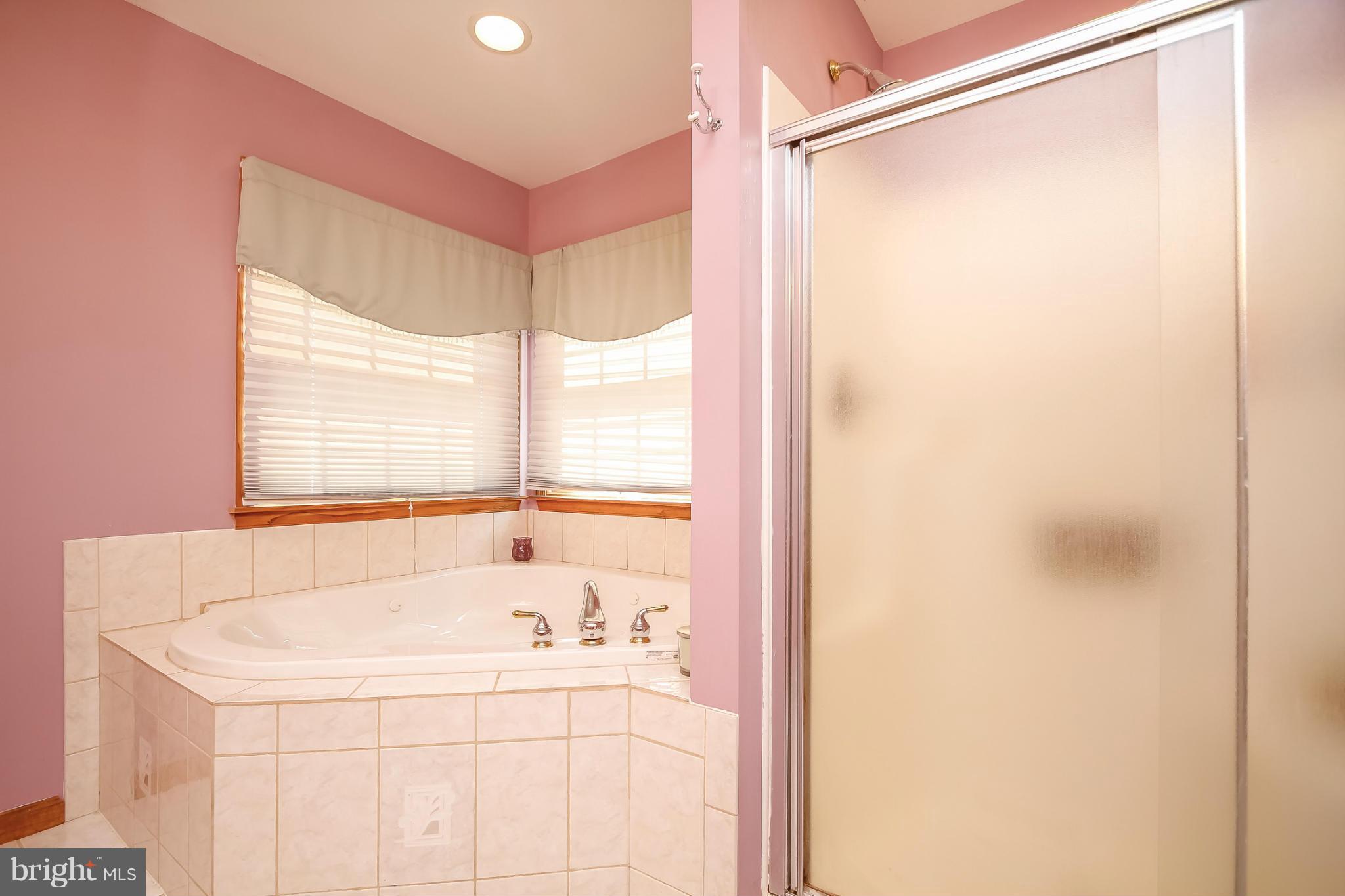 649 Aldino Stepney Road Aberdeen, MD 21001 - Photo 21 of 29 Master Bath with Whirlpool