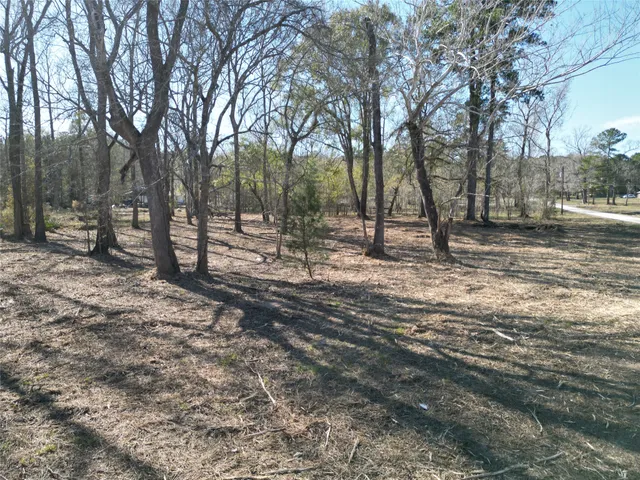 a view of a yard with trees
