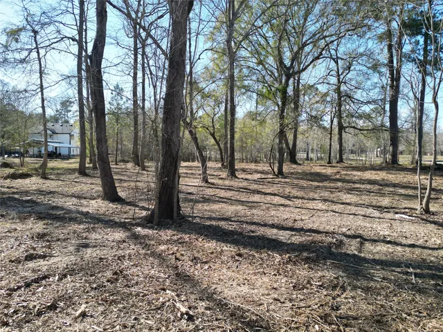 a view of park space with trees