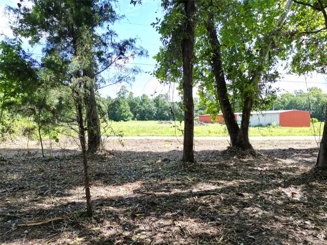 a view of a yard with a tree