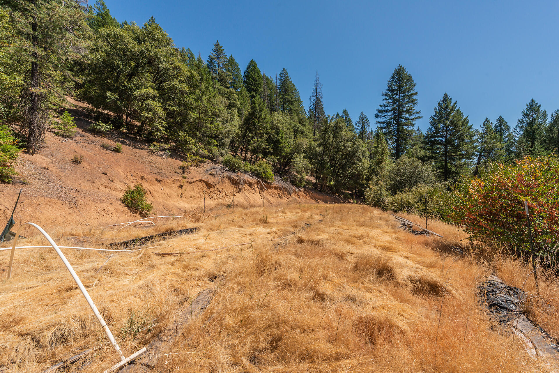 1511 Upper Moore Gulch Road Trinity Center, CA 96091 - Photo 24 of 62 DSC_6684
